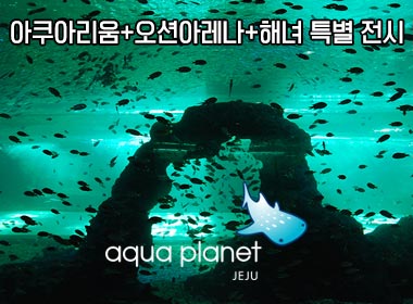 하얏리젠시 이미지